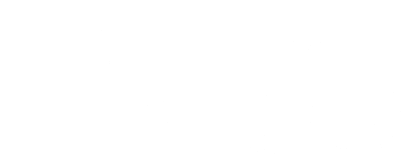 The Duo Collective